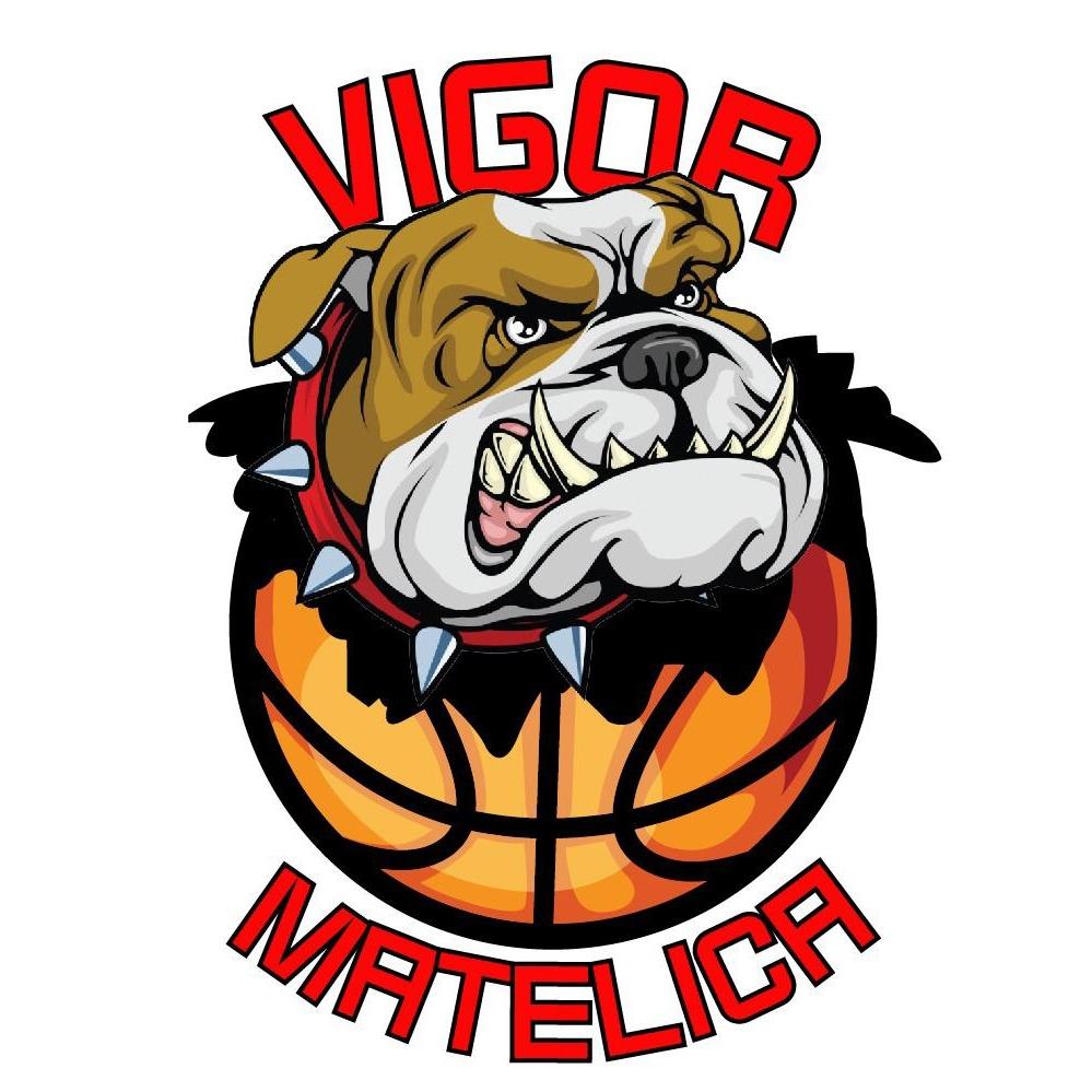 logo vigor